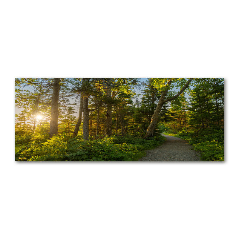 Forest 1 Piece Wall Art on Canvas