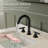 Widespread Bathroom Faucet 3 Hole, 2-Handle Bathroom Sink Faucet with Drain Assembly-111379144