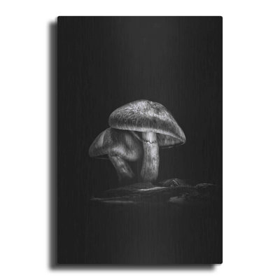 August Grove® 'Toadstools On A Trail No 2' by Brian Carson, Metal Wall Art