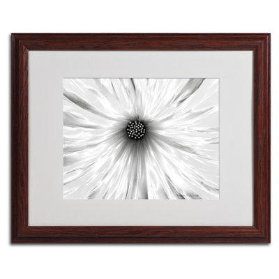 « white jardin » par kathie mccurdy,, reproduction de photo encadrée