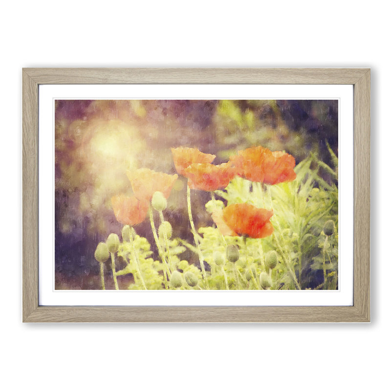 Field of Poppies Vol.6 - Framed Print, 27cm H x 36cm W x 2cm D, Oak Framed