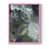 Rose n'est pas disponible