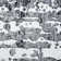 Clava Indoor Rug