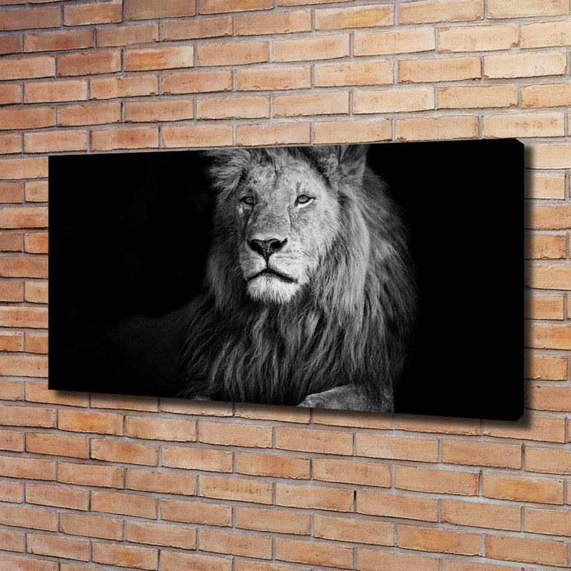 Lion - Wrapped Canvas Print