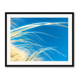 Dune Grasses Print by Petra Trimmel