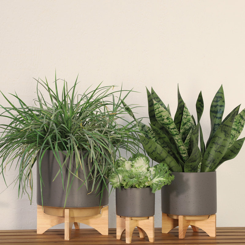 Ceramic Planter with Bamboo Stand - Modern Plant Pot with Elevated Base for Indoor Use, 1, Dark Gray, 7" H x 5" W x 5" D