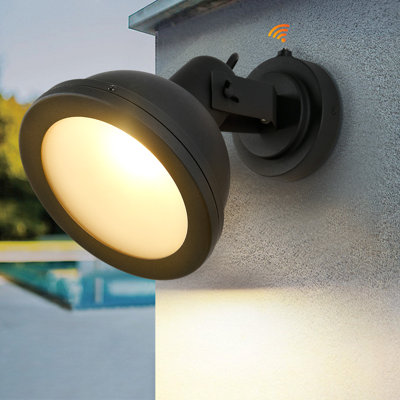 Samav 20cm H Outdoor Barn Light with Dusk to Dawn