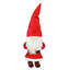 Père Noël gnome