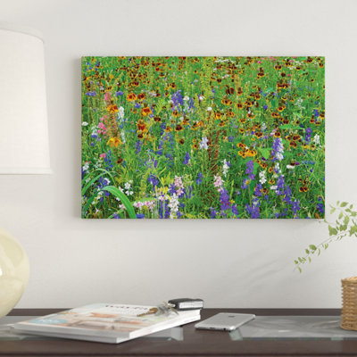 " Delphinium And Mexican Hat Flowers In Meadow, North America " by Tim Fitzharris