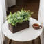 23.9cm Faux Foliage Plant