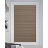 Blackout Cellular Shade