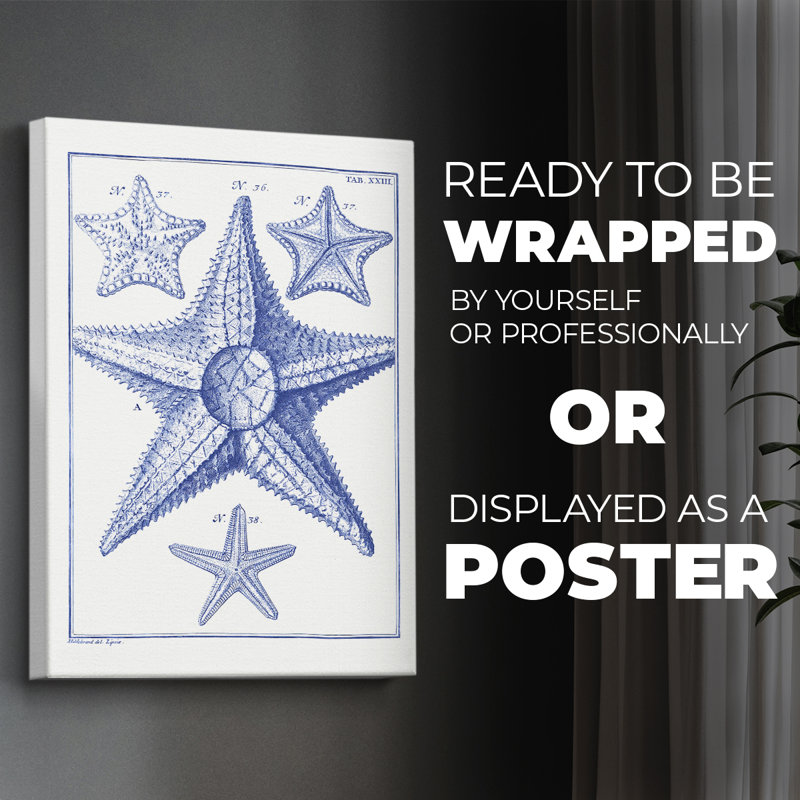 Blue Sea Stars VI - Impression sur toile seulement - NON-CADRE, H 60 po x l 40 po