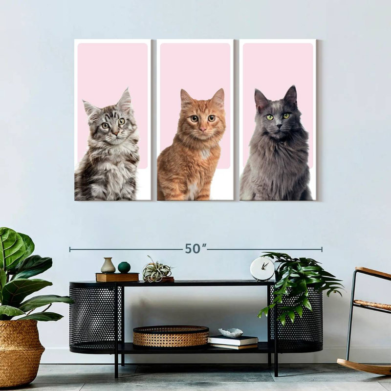" Cat Breed Colors " 3 - Pieces, 32" H x 50" W x 1.25" D