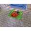 Tapis de porte Simonds-32793502