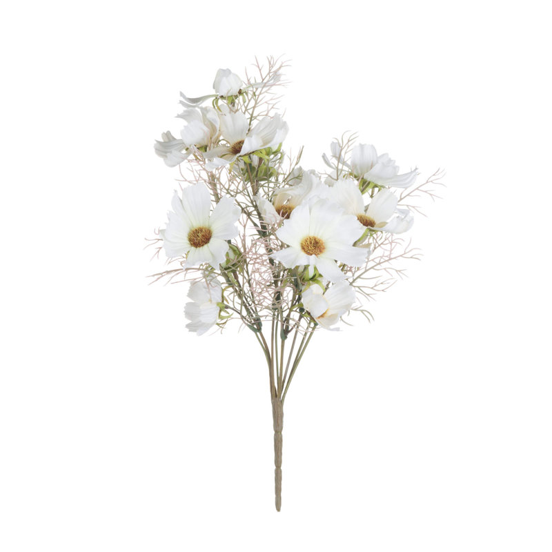 Anastasija Arrangement