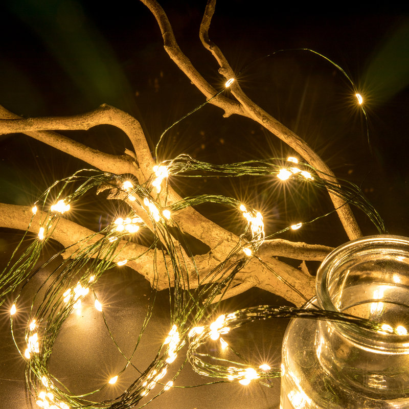 1'' LED Twinkle Globe String Lights