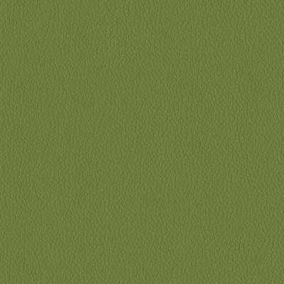 Miami Fabric