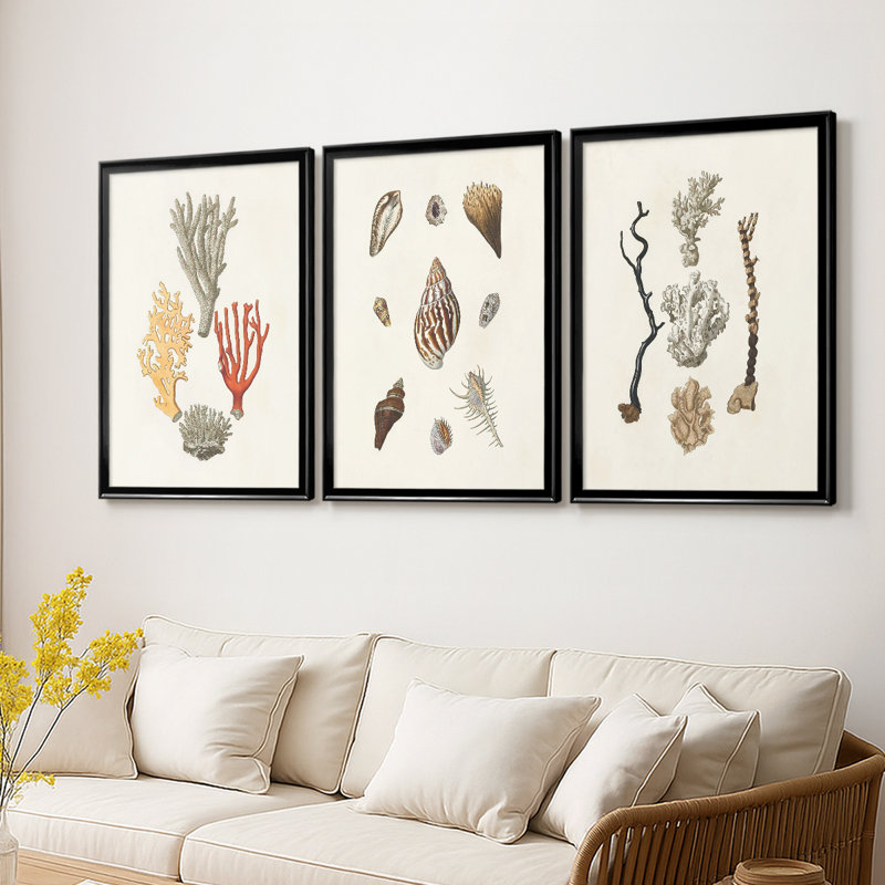 Knorr Shells & Coral IV - Toile tendue avec châssis sur mesure - 3 pièces, H 30 po x l 63 po, Noir