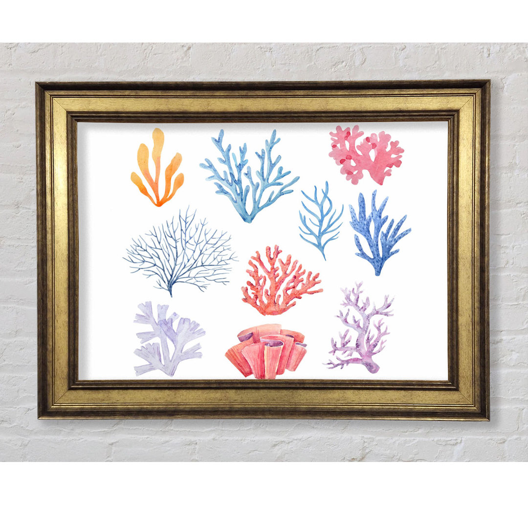 Sea Life Coral - Einzelner Bilderrahmen Kunstdrucke