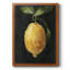 " Dark LemonI " Painting Print-1577331287