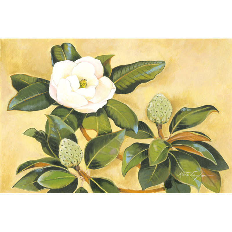 Magnolia du Sud II, H 8 po x l 12 po x P 1,25 po
