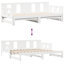 Argan Solid Wood with Trundle-204152762-204152764