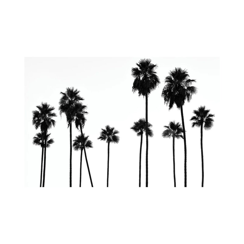 Palm Trees L.A by Philippe Hugonnard - Wrapped Canvas Print, 20.32 cm H x 30.48 cm W