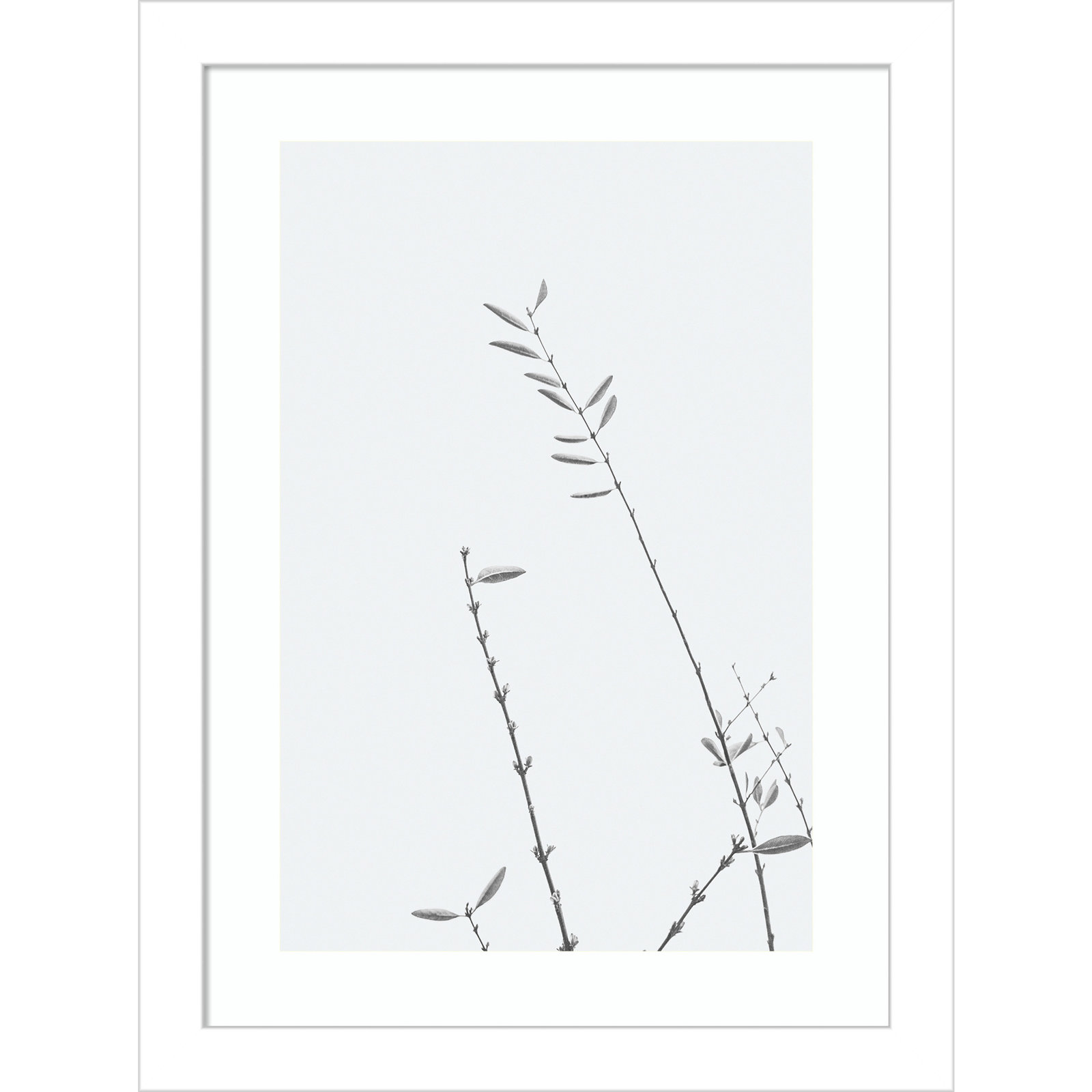 Retro Tennessee Botanical No 3 Photo Print, 13" H x 10" W x 1" D, White
