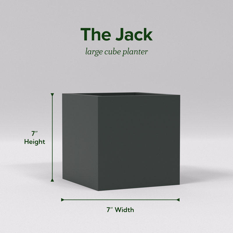 Greenline Fiberglass Jack Modern Square Cube Small Indoor/Outdoor Planter, Matte Charcoal