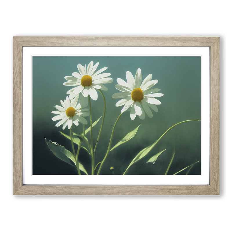 Cosmopolitan Daisy Flowers - Framed Print, 46cm H x 64cm W x 2cm D, Oak Framed