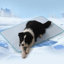 Tapis de refroidissement en soie glacée pour chien Summer Cool-1920502332-1920502335
