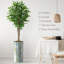 Ficus artificiel en pot 75 po