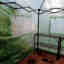 Photos des clients 3 de 5