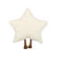 STARFRUIT Novelty Cushion