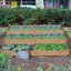 Wooden Raised Garden Bed-563924682-562849078