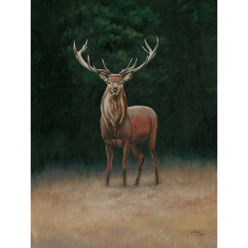 Monadnoc cerf sur toile, H 16 po x l 12 po