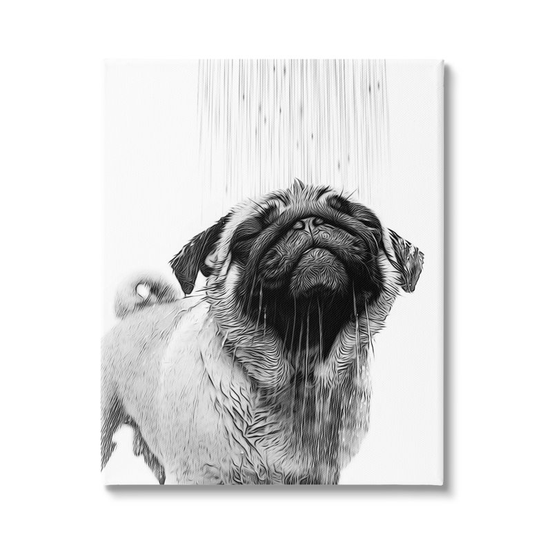 «Ebern Designs Pug Bathroom Splash», art mural par Annalisa Latella, H 48 po x l 36 po x P 1,5 po