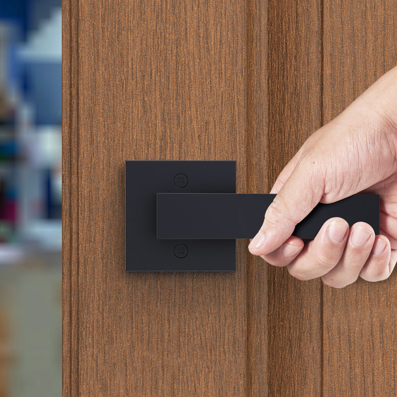 Poignée de porte noire