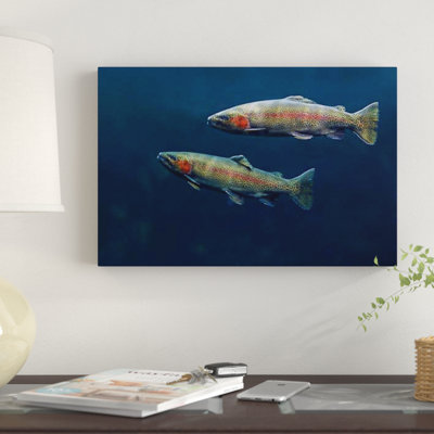 " Rainbow Trout Pair Swimming Underwater " by Tim Fitzharris