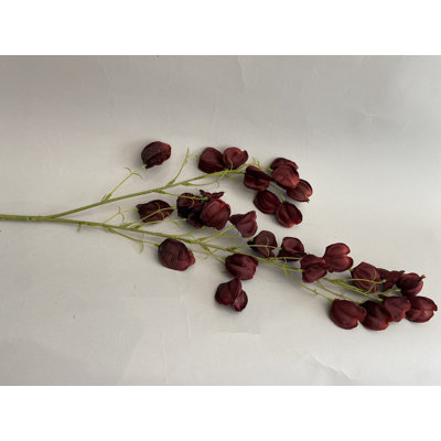 Chinese Lantern Stem, 97 cm
