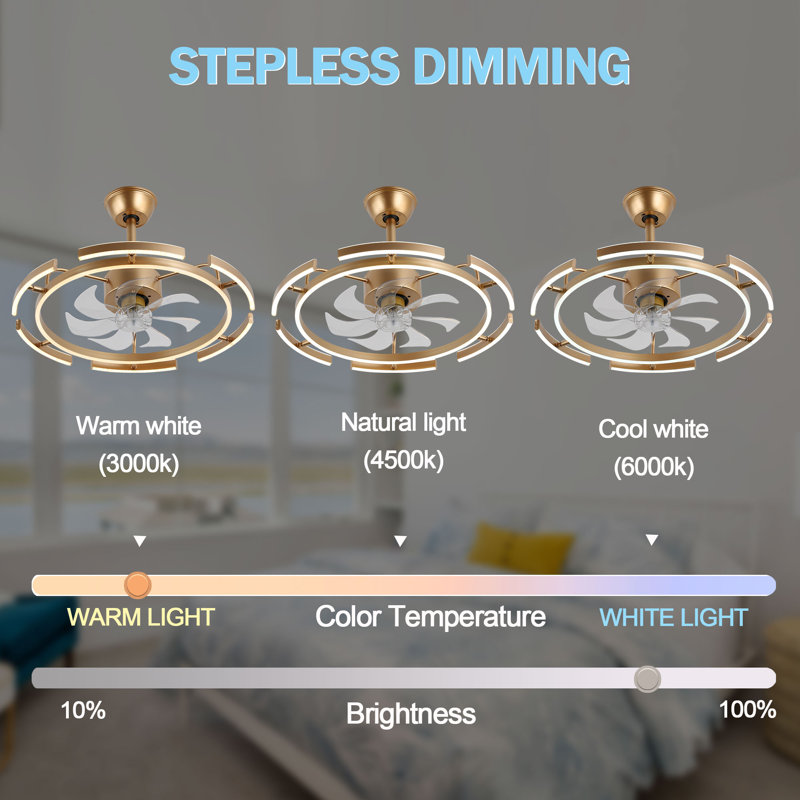 Olamide 24" DIY Shape Adjustable Ceiling Fan with Lights Remote and APP Control, Gold