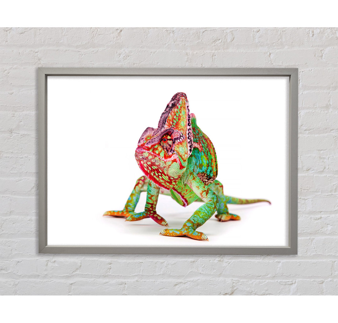 Chameleon Walk - Einzelner Bilderrahmen Kunstdrucke auf Leinwand