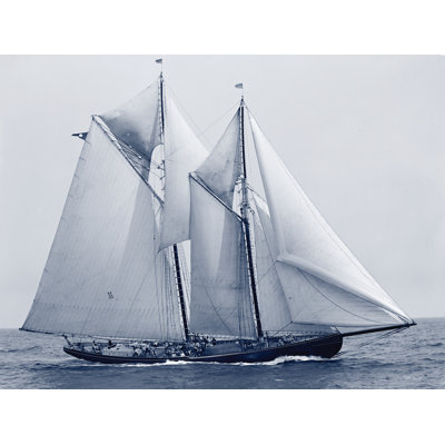 «Indigo Yacht 4 on Canvas» par Stellar Design Studio, reproduction