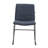 Lagan Leather/Polyester Office Guest Chair – Ergonomic Desk & Conference Seating with Stainless Steel Base, Fixed Arms & Lumbar Support-1020249381