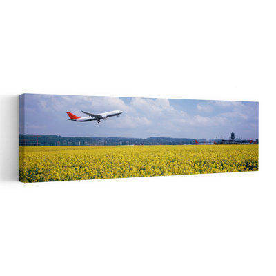 Airplane Taking Off, Zurich Airport, Kloten, Zurich, Switzerland Abstract Contemporary Architecture Flower Wall Art
