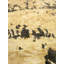 Wool And Silk Nepal One-of-a-Kind Rectangle 9' X 12' Area Rug