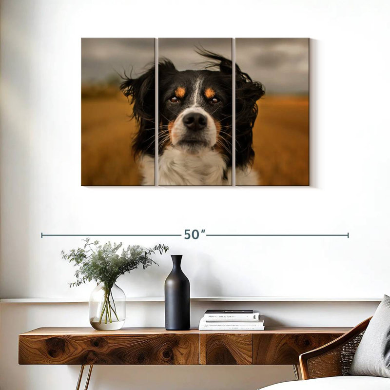 Brampt Expressive Border Collie, 24" H x 38" W