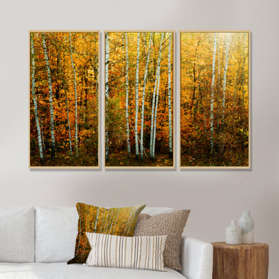 Crystal Clear Creek In Mountains - Landscape Framed Canvas Wall Art Set Of 3 -  Millwood Pines, 7E8450033BA243A39CF7191A59DA1874