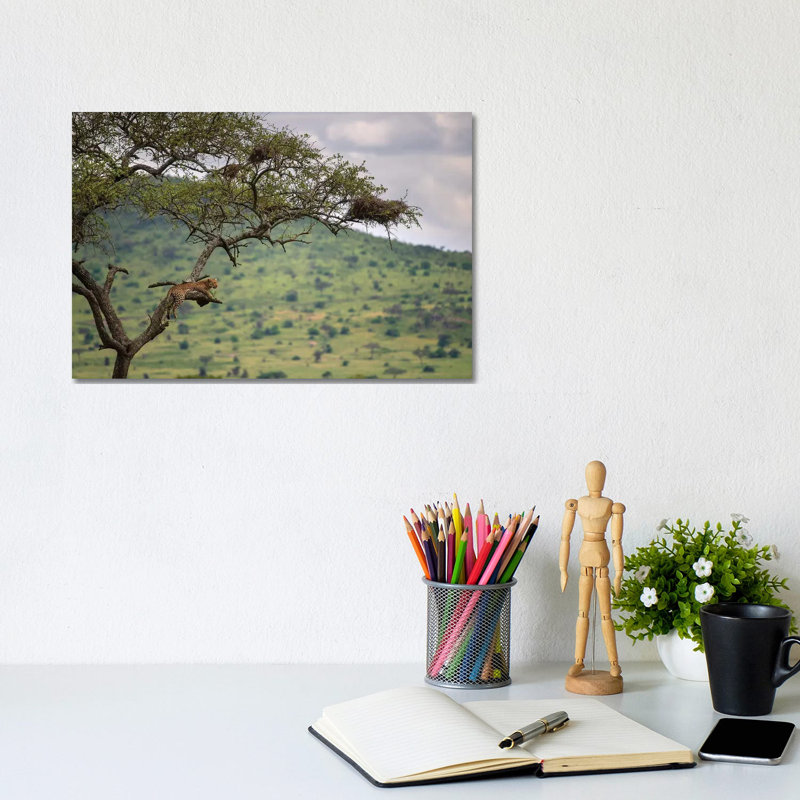 At The Edge by Mohammed Alnaser - Wrapped Canvas Print, 20.32 cm H x 30.48 cm W