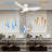 Eirena 45'' Ceiling Fan with LED Lights